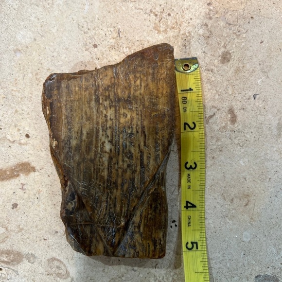 petrified wood - Picture 9 of 10